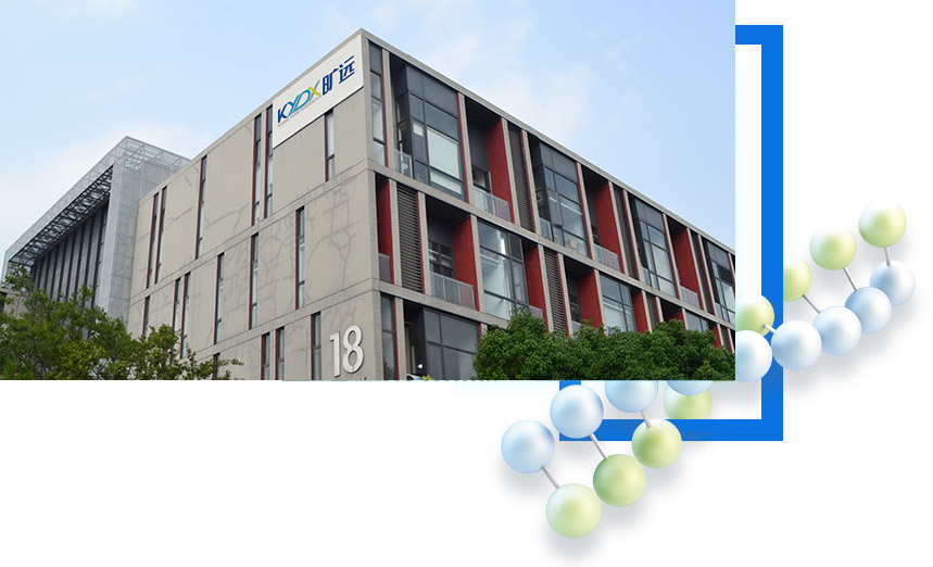 巅峰国际官网-钻营健全,你我一路成长