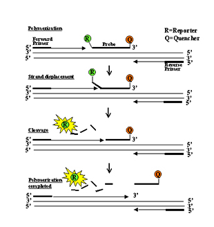 巅峰国际官网-钻营健全,你我一路成长